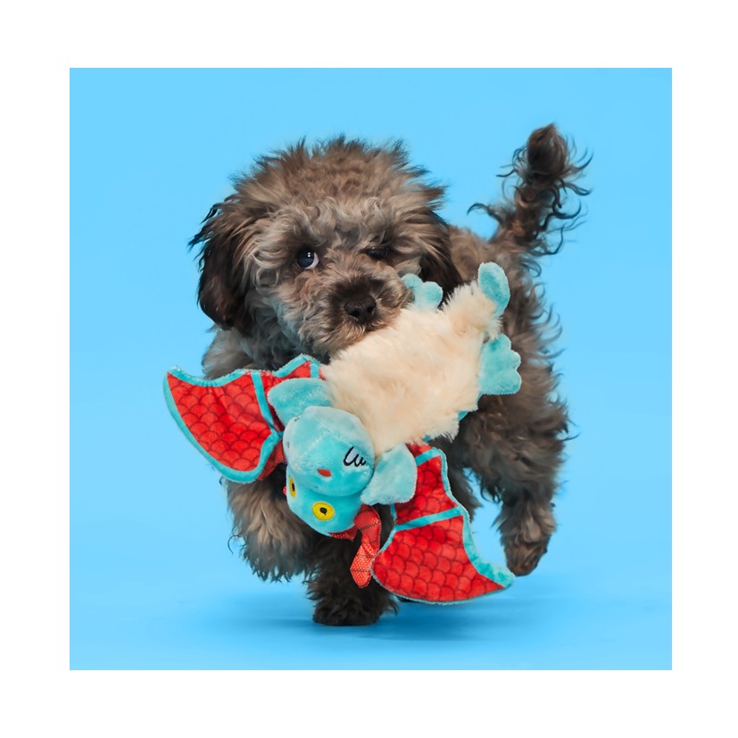 BARK Grimbold The Dragon