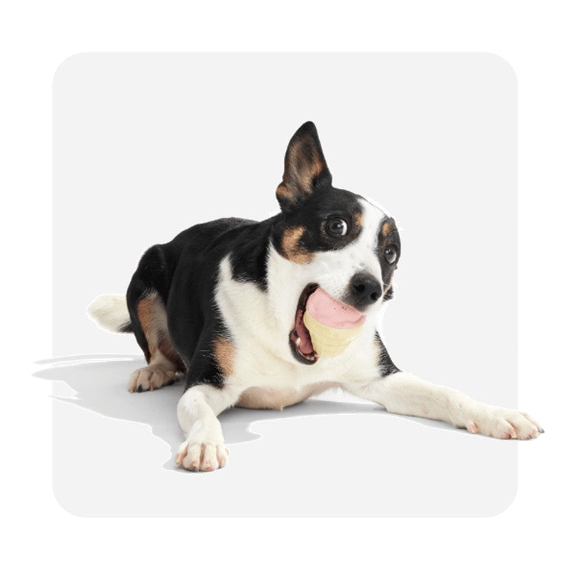 BARK I-Squeak Cone - Super Chewer Dog Toy