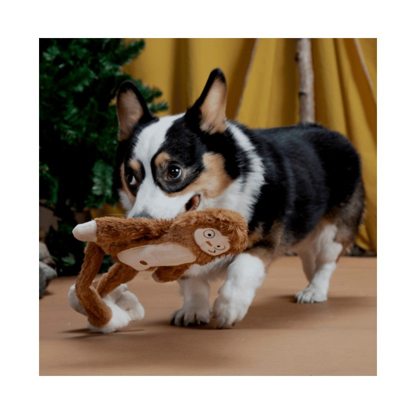 BARK Hairy Henderson