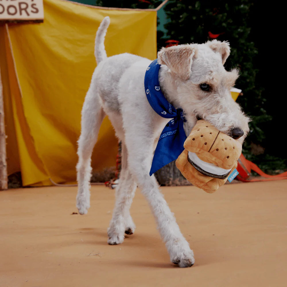 BARK Dragonfly Guy, More S'Mores & Oldest McDonald Dog Toys