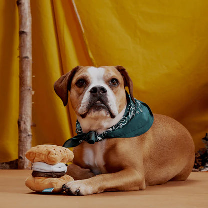 BARK Dragonfly Guy, More S'Mores & Oldest McDonald Dog Toys