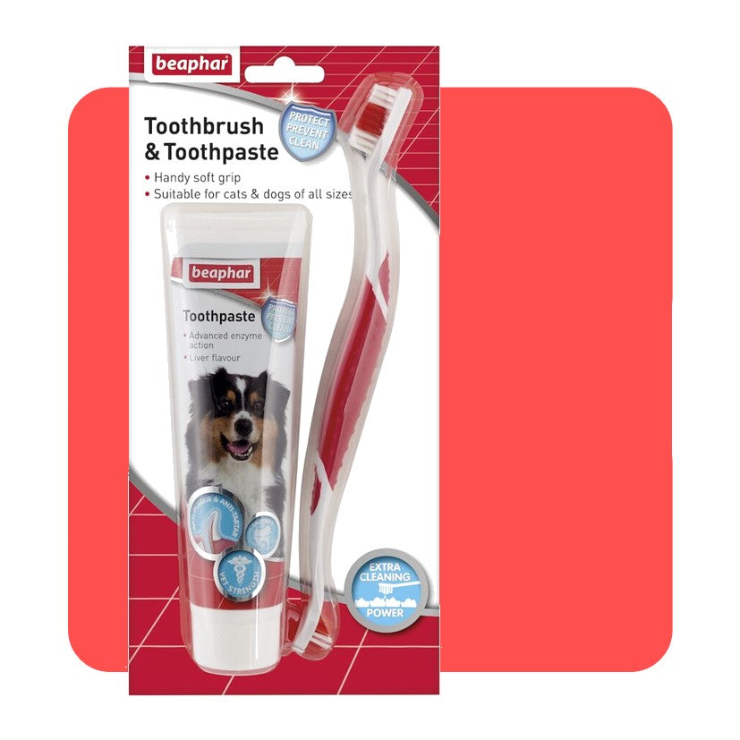 Beaphar Toothbrush & Toothpaste Pack