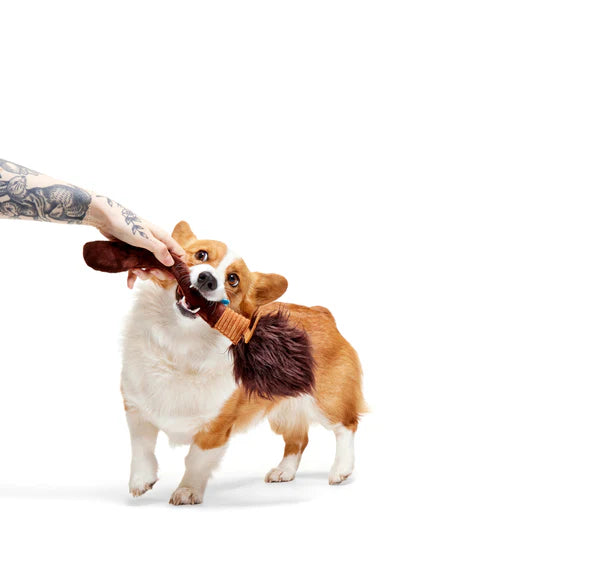 BARK Harry Potter Plush, 2 in 1 & Super Chewer Dog Toys - 12 Designs
