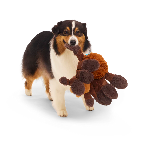 BARK Harry Potter Plush, 2 in 1 & Super Chewer Dog Toys - 12 Designs