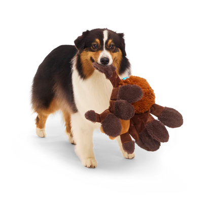 BARK Harry Potter Plush, 2 in 1 & Super Chewer Dog Toys - 12 Designs