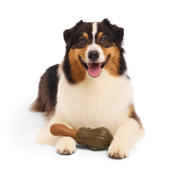 BARK Harry Potter Plush, 2 in 1 & Super Chewer Dog Toys - 12 Designs