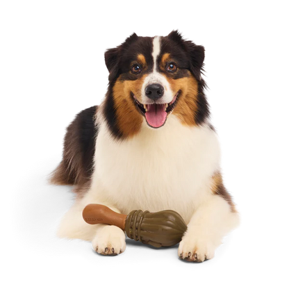 BARK Harry Potter Plush, 2 in 1 & Super Chewer Dog Toys - 12 Designs
