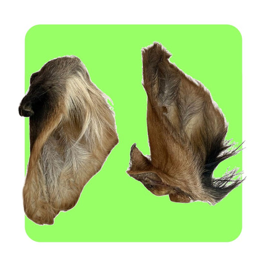 Hairy Cow Ears (Natural Dog Treats)