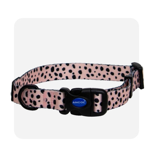 Ancol Soho Dalmatian Collar