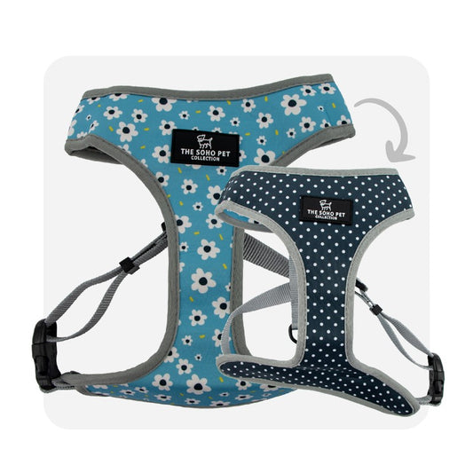 Ancol Soho Daisy/Polka Dot Reversible Harness