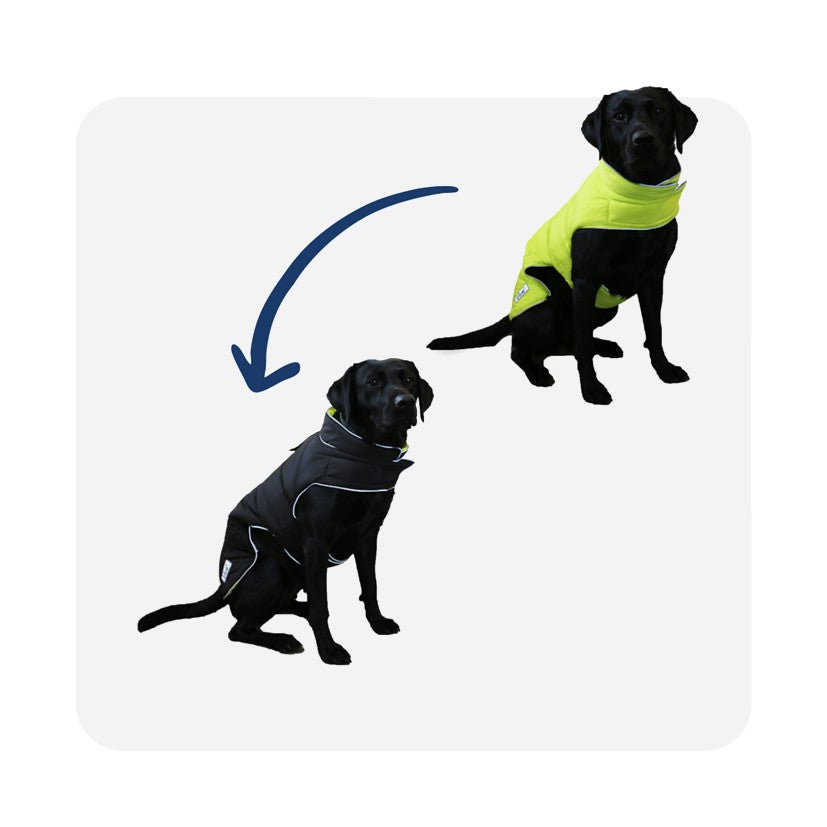 Ancol Viva Reversible Black/Hi-Vis Dog Coat