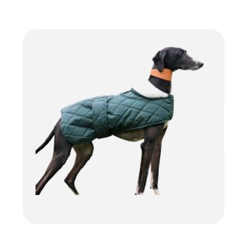 Ancol Qulited Hound Coat