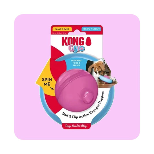 KONG Puppy Gyro