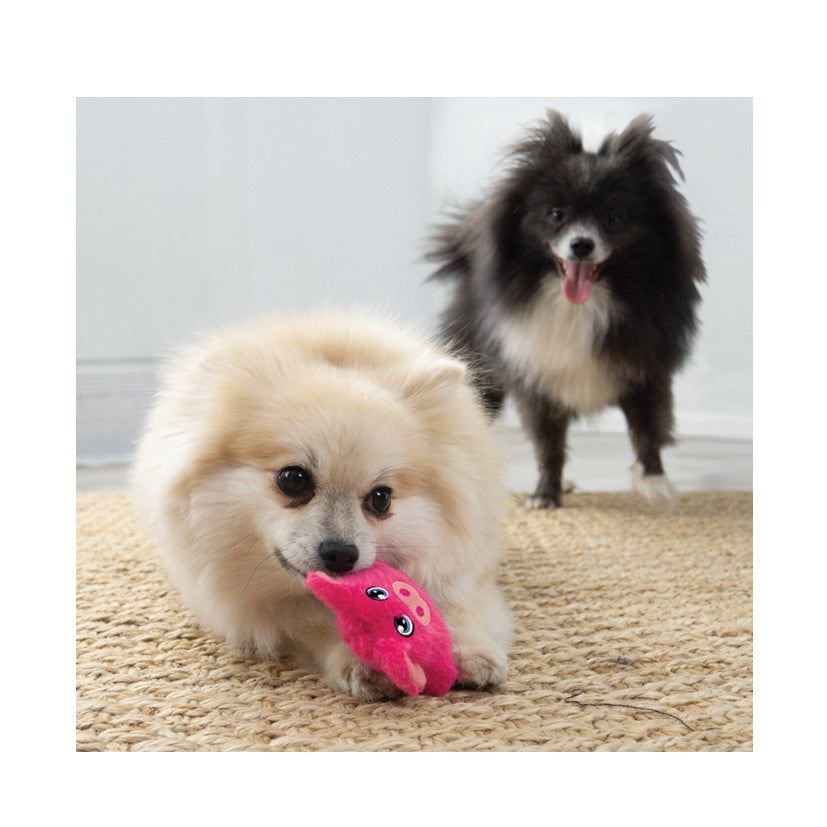 KONG Snuzzles Mini Frog
