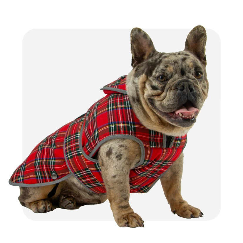 Ancol Heritage Red Tartan Dog Coat