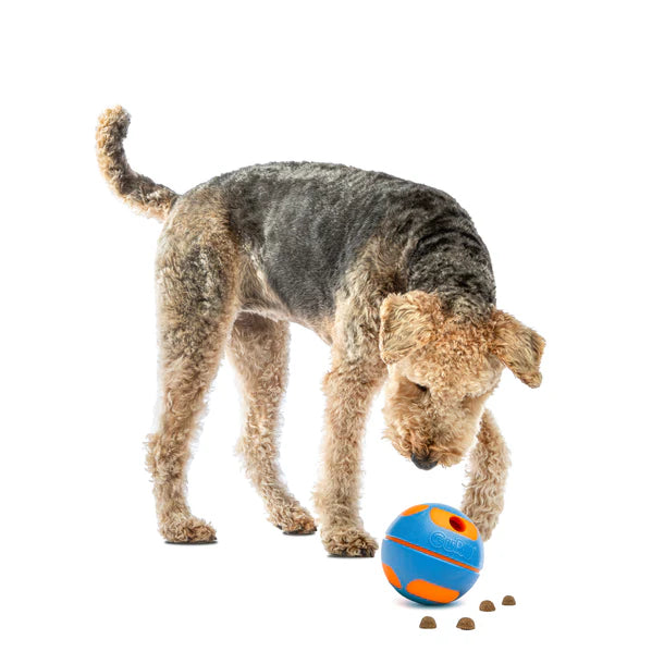 GURU Giggling Tennis Ball & Bobble Ball Giggling Treat Dispenser