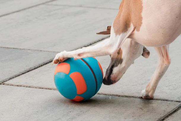 GURU Giggling Tennis Ball & Bobble Ball Giggling Treat Dispenser