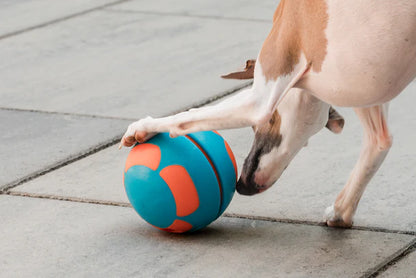 GURU Giggling Tennis Ball & Bobble Ball Giggling Treat Dispenser