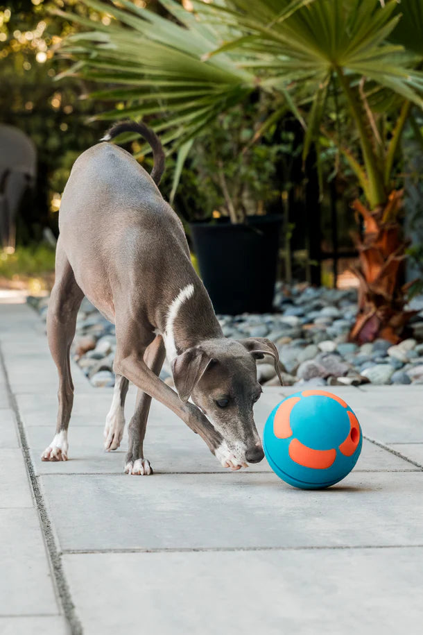 GURU Giggling Tennis Ball & Bobble Ball Giggling Treat Dispenser
