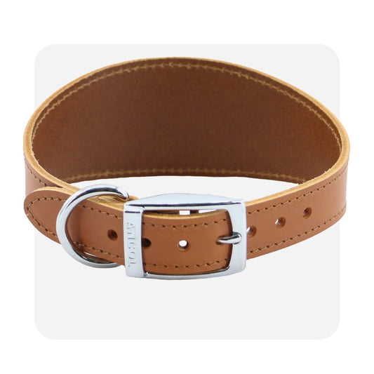 Ancol Greyhound Collar Tan