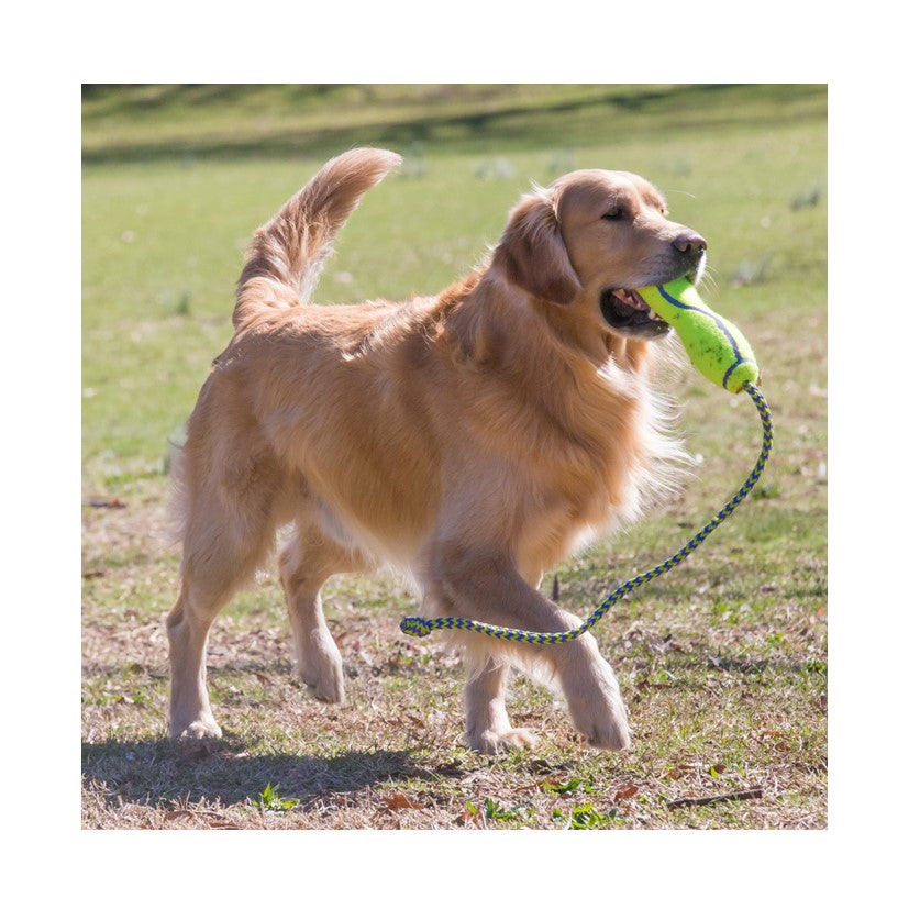 KONG AirDog Fetch Stick Large