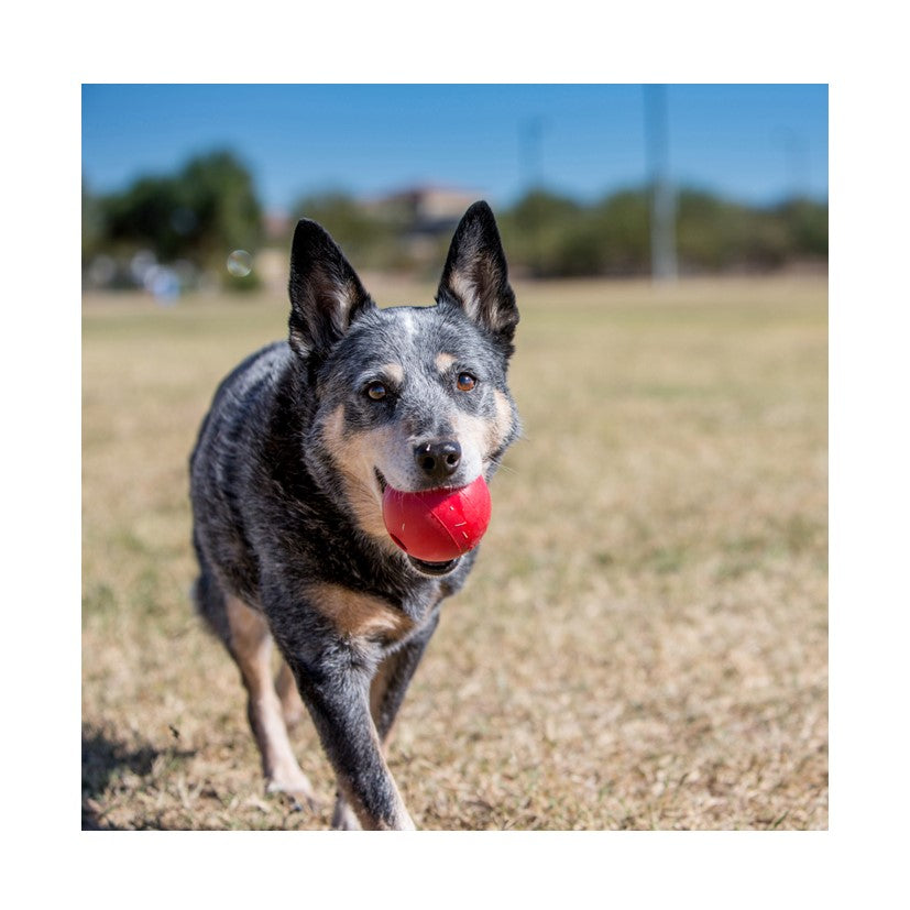 KONG Ball With Hole