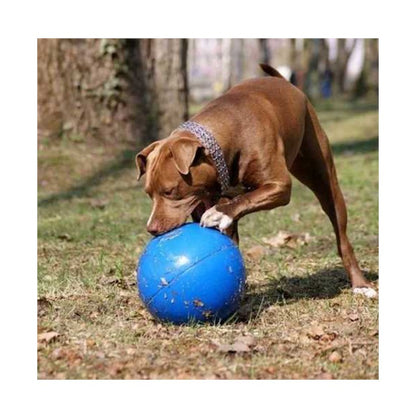 Boomer Ball – The Delicious Dog Food Company