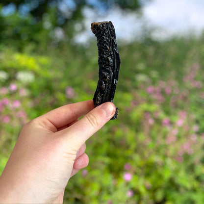 Beef Liver (Natural Dog Treats)