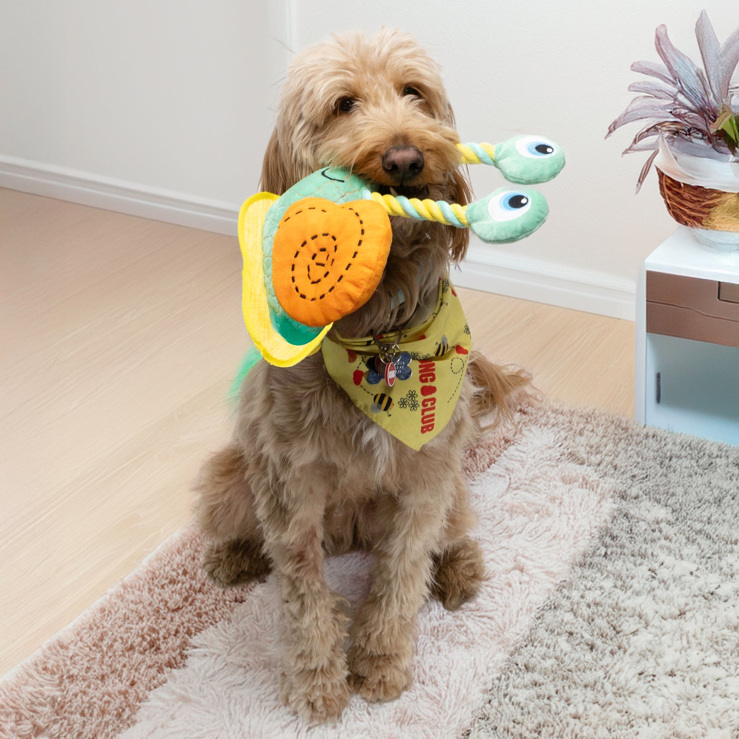 KONG Bendeez Elephant & Snail Large Plush Dog Toys