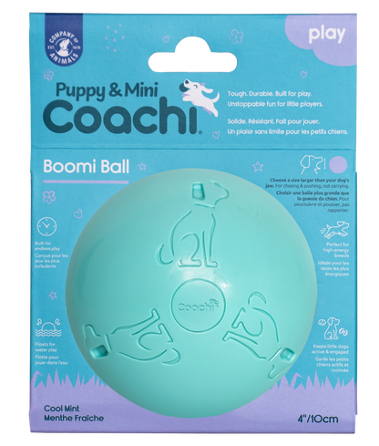 Coachi Boomi Balls & Boomer Balls