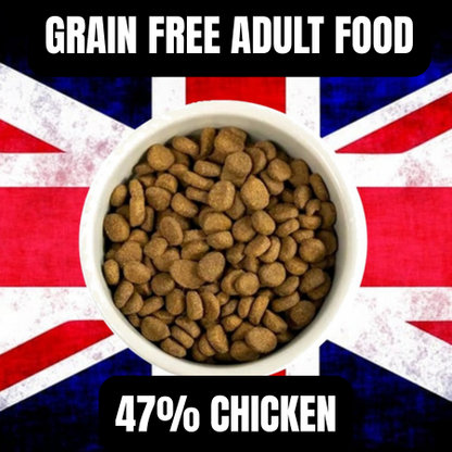 The Delicious Dog Food Company Grain Free Chicken, Lamb & Salmon Adult & Puppy Food 2kg