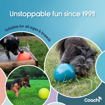 Coachi Boomi Balls & Boomer Balls