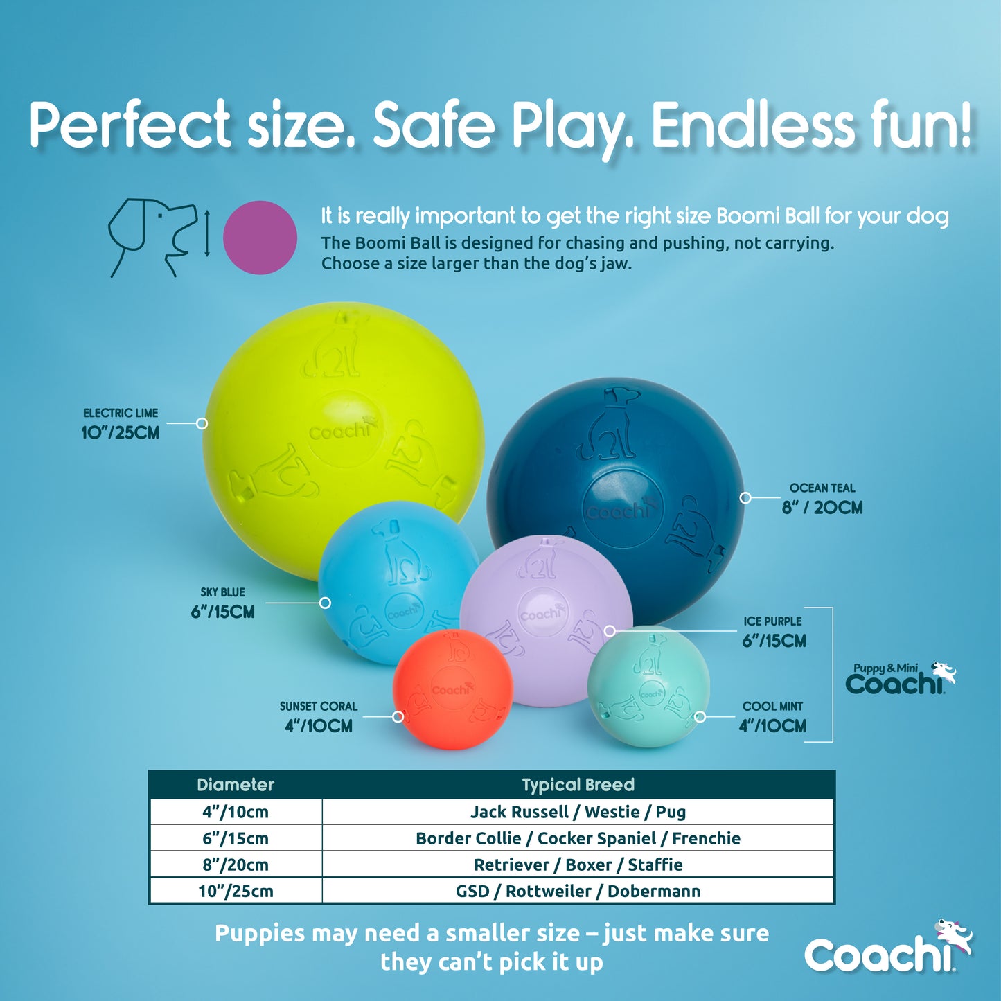 Coachi Boomi Balls & Boomer Balls