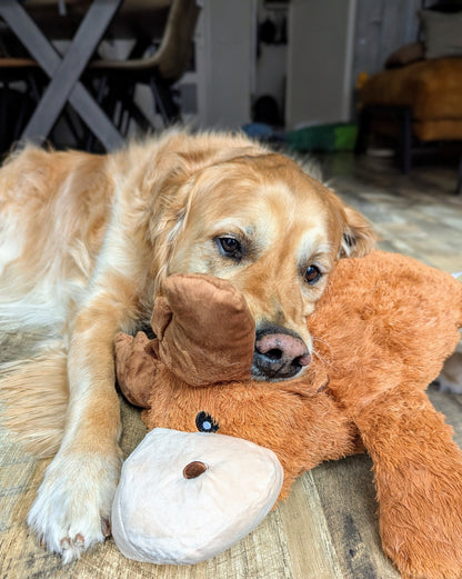 KONG Cozie Plush Soft Cuddly Dog Toy Range