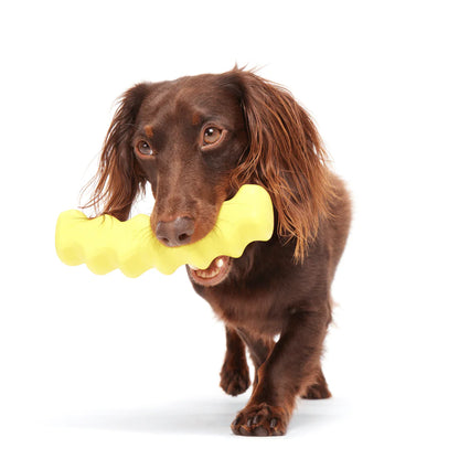 BARK Blue Power Flower, Crinkle Fry, Fairy Dogmother, Fall Fetch Stick & Whiz Squid - Super Chewer - Nylon Dog Toys