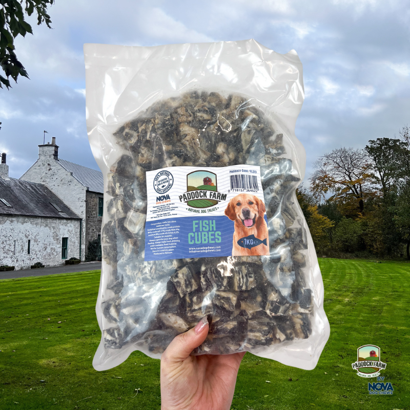 Fish Skin Cubes 2cm (Natural Dog Treats)