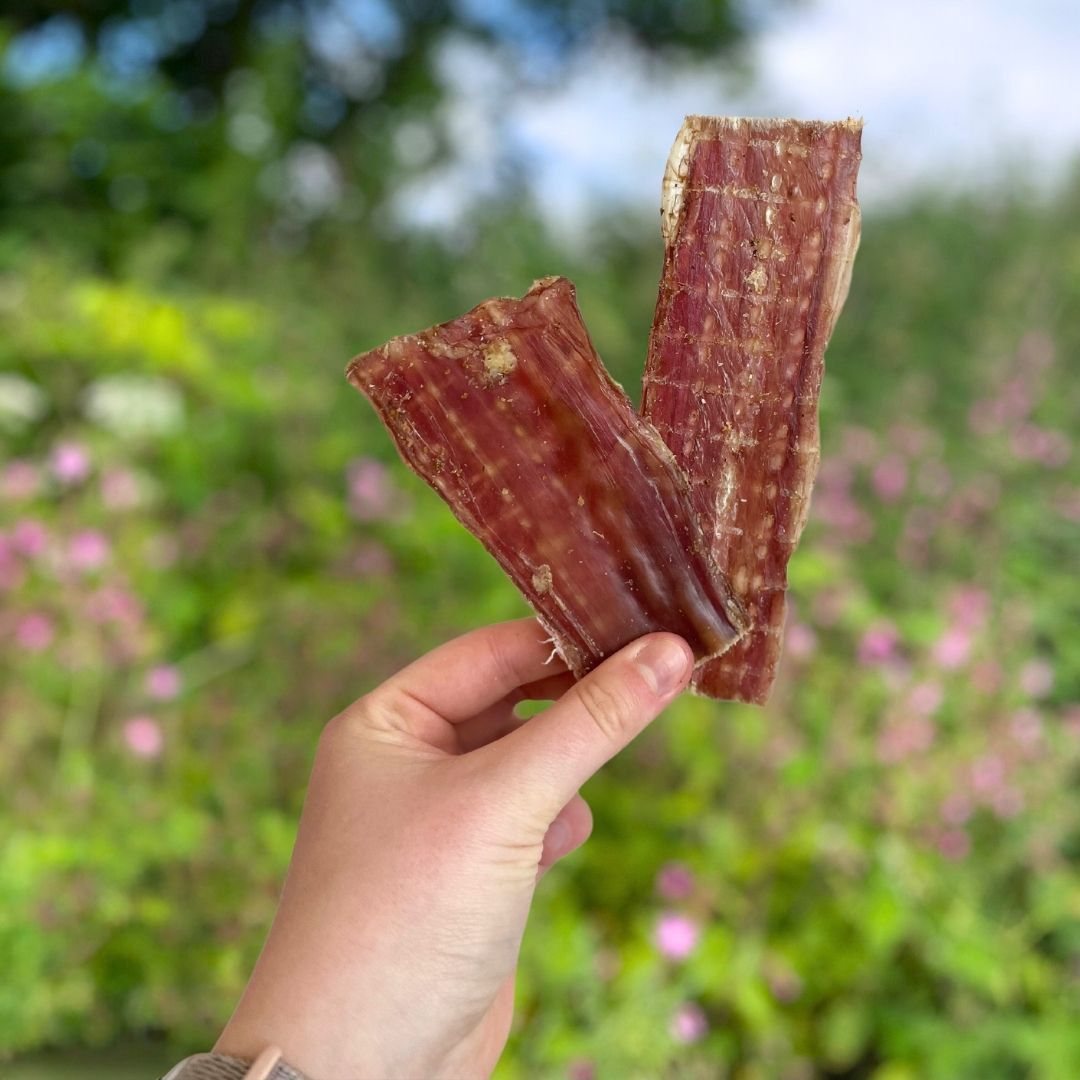 Flat Beef Gullet (Natural Dog Treats)