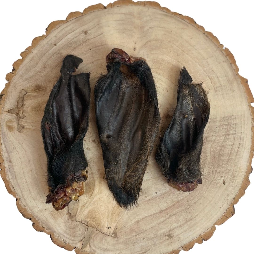 Hairy Buffalo Ears (Natural Dog Treats)