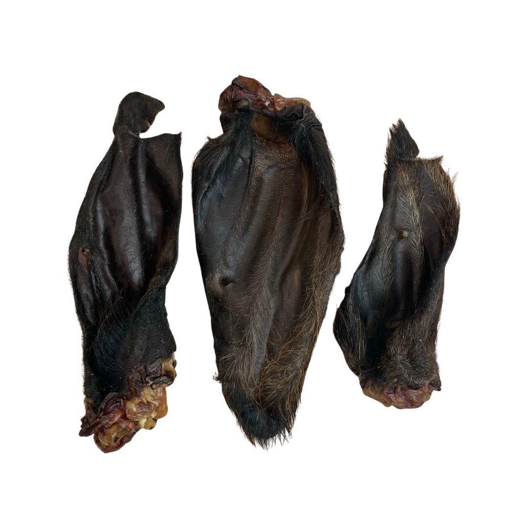 Hairy Buffalo Ears (Natural Dog Treats)