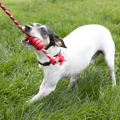 KONG Squeezz Dental Stick & KONG Dental with Rope Toys