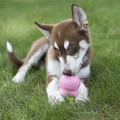 KONG Easy Treat - 4 Flavours