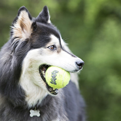 KONG Squeakair Ball with Rope