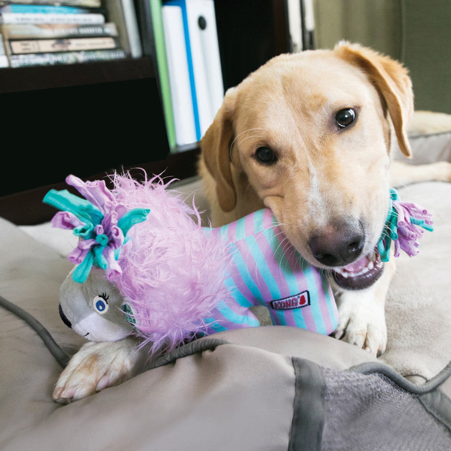 KONG Knots Carnival Elephant & Lion Soft Dog Toys