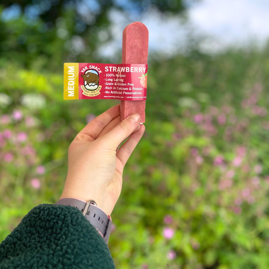 YAKERS & Yak Natural Dog Chews