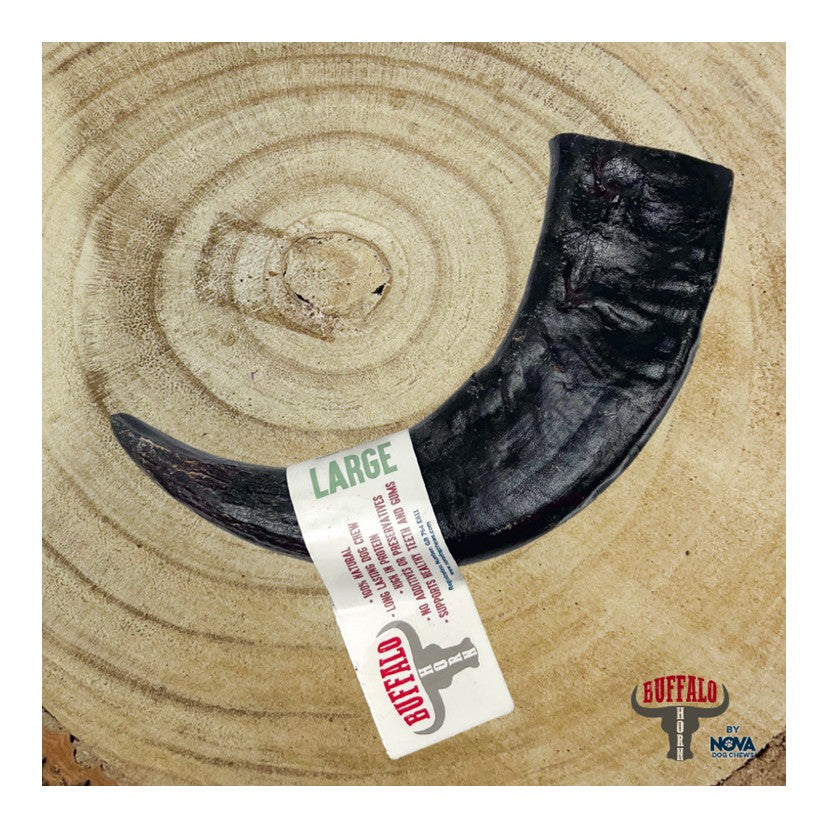 Buffalo Horn - Long Lasting Dog Chew