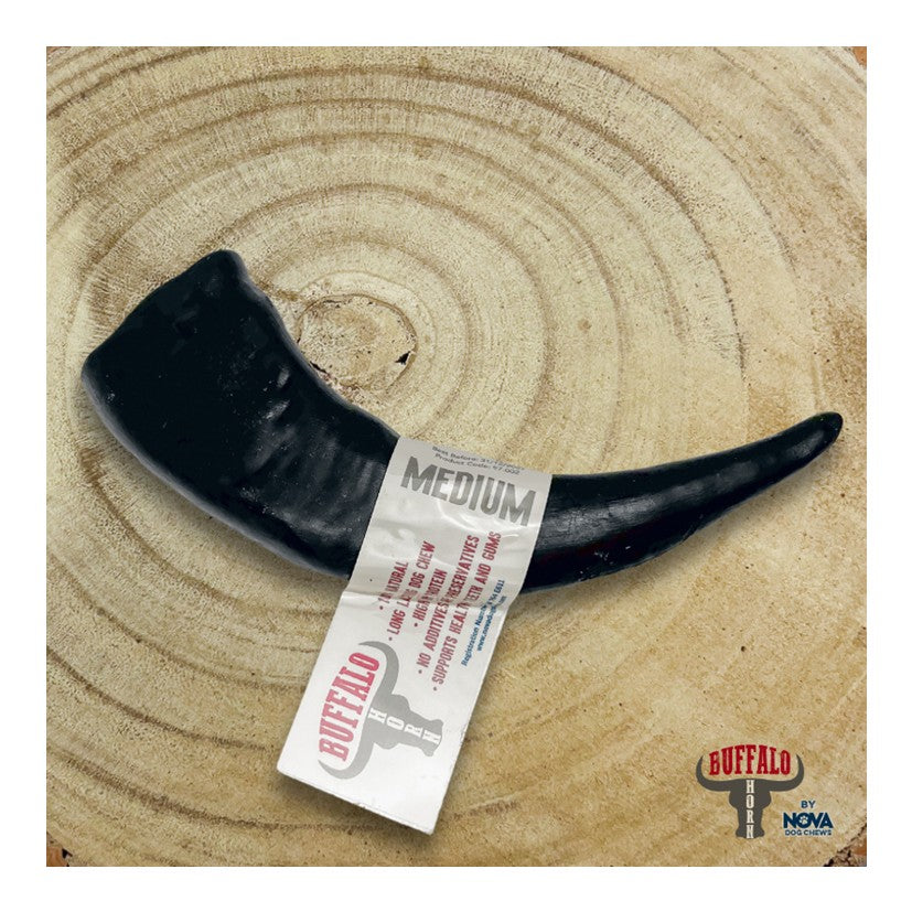 Buffalo Horn - Long Lasting Dog Chew