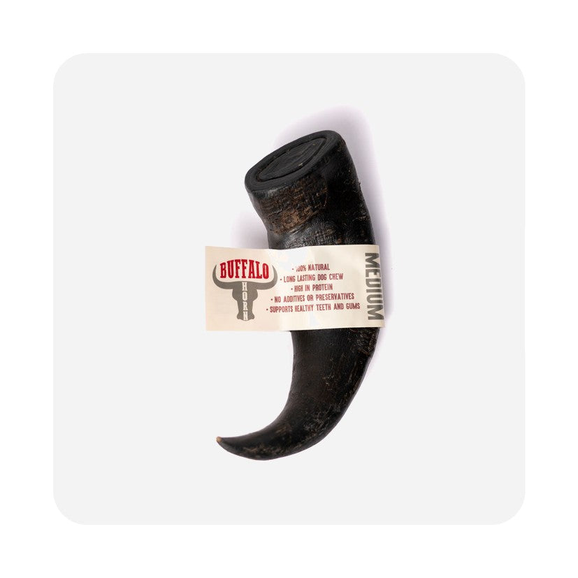 Buffalo Horn - Long Lasting Dog Chew