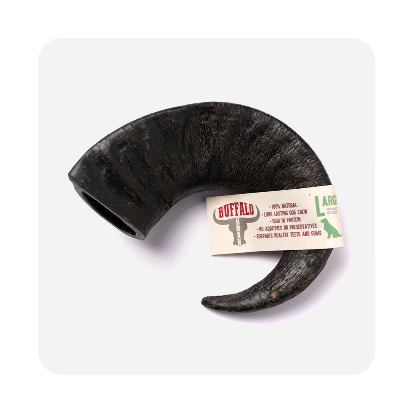 Buffalo Horn - Long Lasting Dog Chew