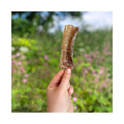 Beef Trachea (Natural Dog Treats)