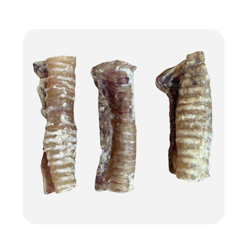 Beef Trachea (Natural Dog Treats)